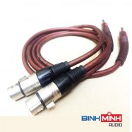 Dây kết nối một đầu Jack Canon và một đầu Hoa sen