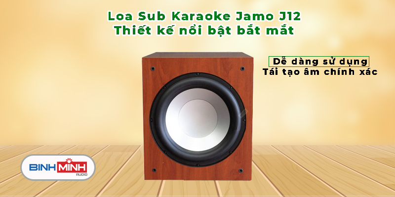 Loa Sub Karaoke Jamo J12 chính hãng, giá rẻ tại Binh Minh Audio