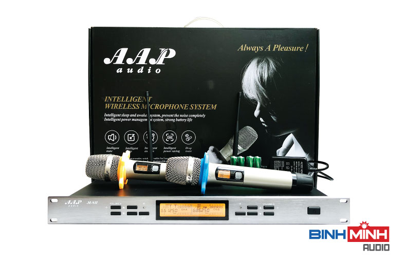 Micro AAP M8 II