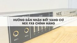 nhan biet vang co nex acoustic fx8 chinh hang