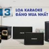 Top 3 loa karaoke đáng mua nhất 2021